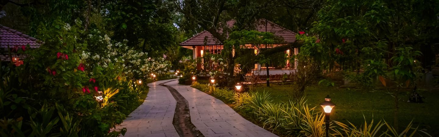 Wellness Retreats for Solo Travelers in Kerala: A Guide